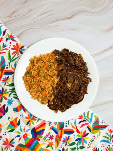 chicken mole and rice on a white plate